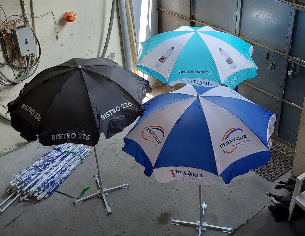 Umbrella Printing - Professional Printing Service by PrintsWallah